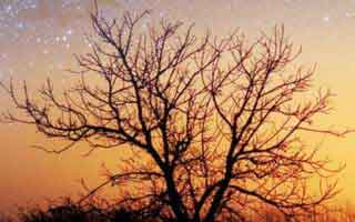 这事真常见？华体会更新弹窗出现异常跳转怎么办？最关键的是域名和证书