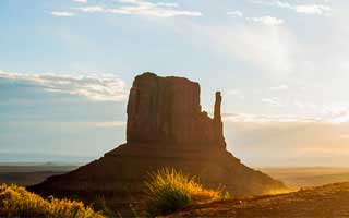 罗马热度飙得不正常，拉力反着走，看完只剩一句服背后逻辑很硬