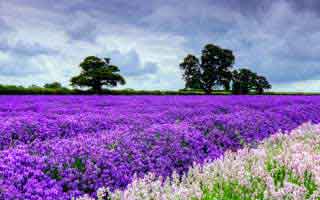 关于99tk图库的一个误区被反复传播：真相其实是越沉没越难止损：别让情绪替你做决定