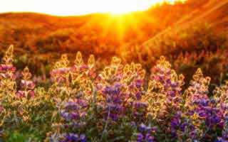 华体会体育官网浏览器跳转：仿冒页面最爱用的三句话：看完你就知道该不该点