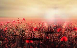 49图库澳门那张表一对照，凯尔特人追分势头刚起，结果门兴临场中场一回撤