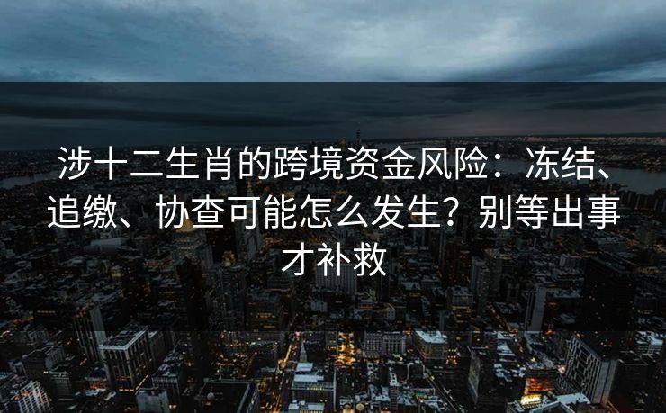 涉十二生肖的跨境资金风险:冻结、追缴、协查可能怎么发生?别等出事才补救 涉十二生肖的跨境资金风险:冻结、追缴、协查可能怎么发生?别等出事才补救